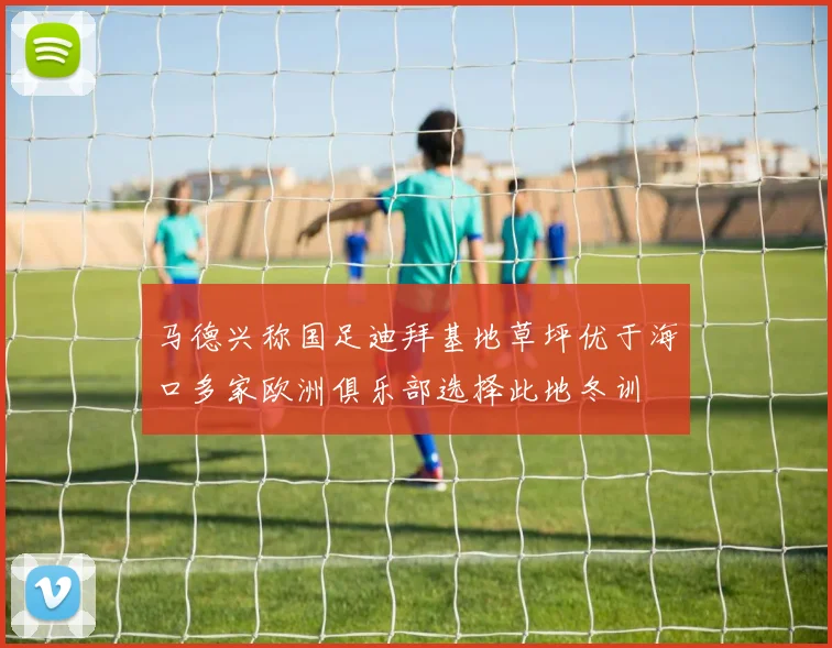 马德兴称国足迪拜基地草坪优于海口多家欧洲俱乐部选择此地冬训