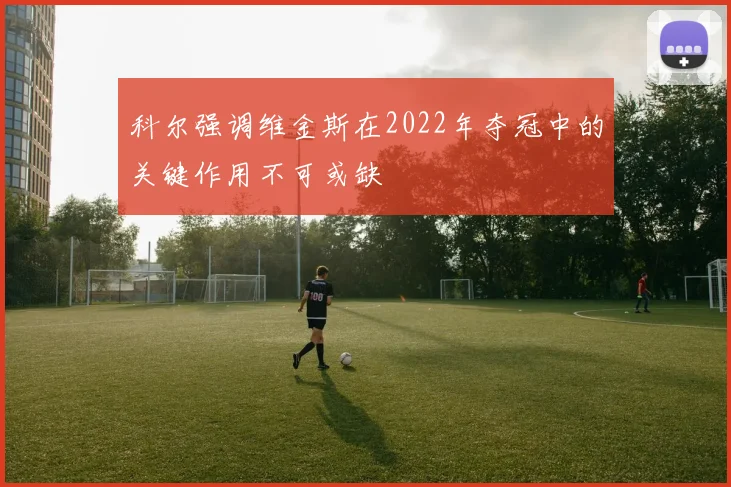 科尔强调维金斯在2022年夺冠中的关键作用不可或缺