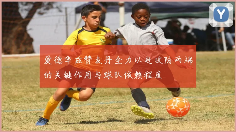 爱德华兹赞麦丹全力以赴攻防两端的关键作用与球队依赖程度